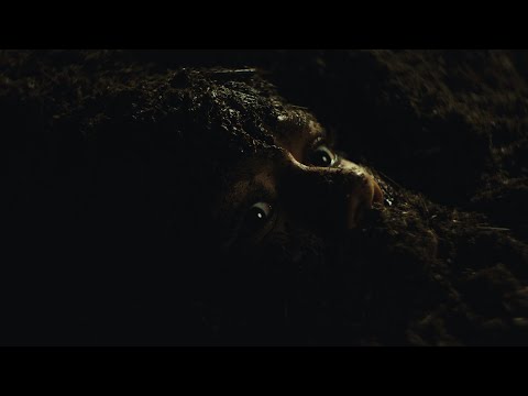 Nobu Woods - YOU (Official Music Video)