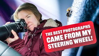 The Best Nature Photographs Came From INSIDE My Car!