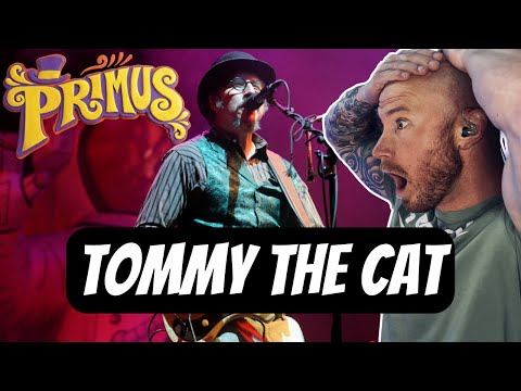 Drummer Reacts To - Primus Tommy the Cat Live FIRST TIME HEARING Reaction