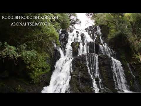 CAFÉ - KODOISH // ARCANJO MIGUEL