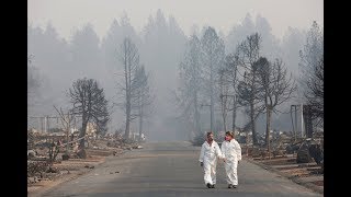 The daunting task of identifying victims of the Camp Fire