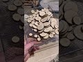 Amazing DIY Tree Branch Wood Craft Idea