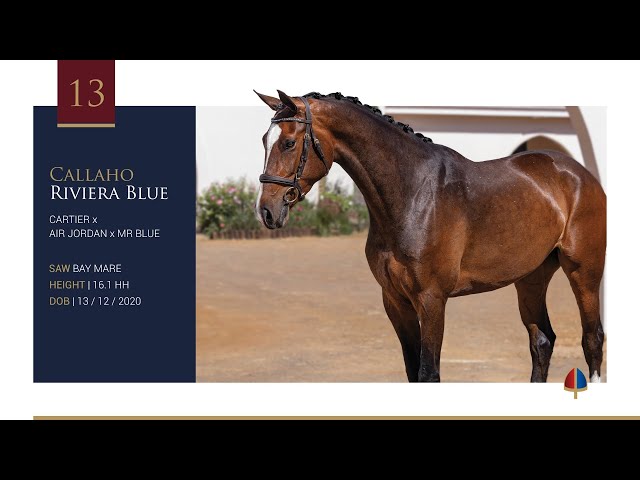 Callaho Riviera Blue