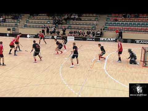 Landskrona Falcons - Eslövs IBF 8-5 Highlights