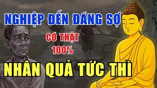 Nhân Quả Không Đợi Kiếp Sau | Nghiệp Ứng Tức Thì Rõ Như Ban Ngày