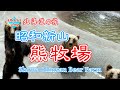 channel