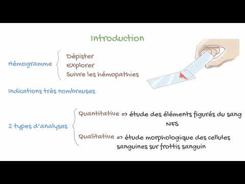 L'hémogramme Décrypté! 🩸