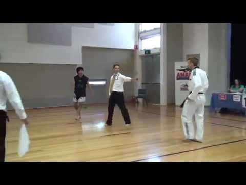 WTF Taekwondo vs Muay Thai