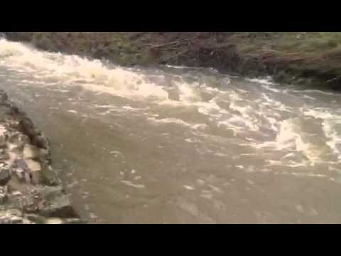 El Arevalillo ... En la represa del molino