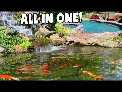 KOI POND, Pool, and Hot Tub in One Yard!