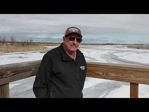 Sandhill Crane Viewing at Fort Kearny Hike/Bike Bridge