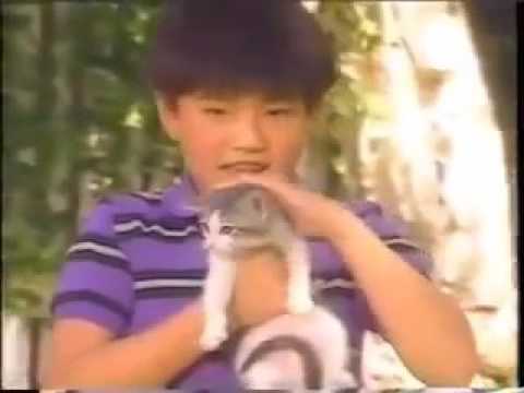 Lamb Chop's Action Songs - 8.) There's a Big Old Cat Wearing a Hat