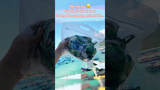 Cố tình trồng hoa, hoa không nở | BikiniStoreVN