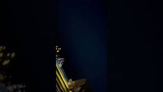 Fish in the night from Cruise #lakshadweep #kavaratti #trending #viral #ship