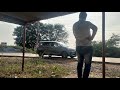 Animal Bgm Animal Shorts Youtubeshorts