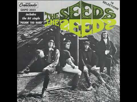 The Seeds - Pushin' Too Hard (1966)