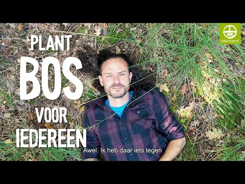 Tijs Vanneste maak zijn hoofd leeg