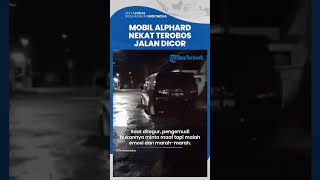 Viral Aksi Pengemudi Mobil Alphard Nekat Menerobos Jalan Sedang Dicor, Bikin Warga Geram