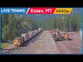 LIVE Trains Railcam Essex Montana PTZ