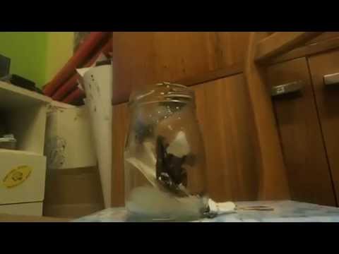 Krása kouře a fialový oheň