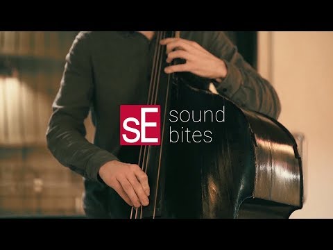 SE Electronics RN17 Rupert Neve