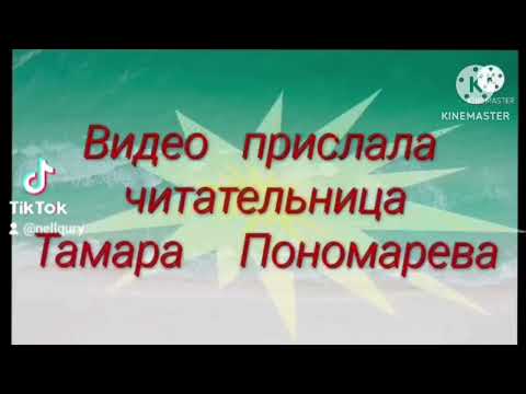 video-show