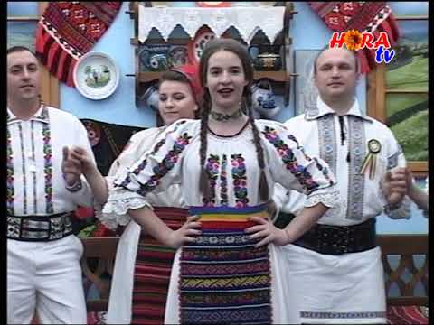 Bianca Maria Cojoc - Cetera din lemn uscat