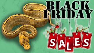 BLACK FRIDAY SALE!!! | ALL AVAILABLE SNAKES!!!