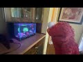 Elmo World Dancing Intro