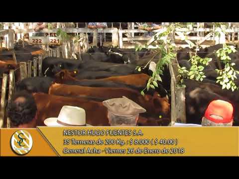 26-01-18 Venta de Hembra - Nestor Hugo Fuentes S.A. - General Acha