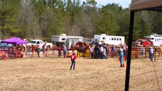 preview picture of video 'Midway Rodeo 1: Ribbon Roping'