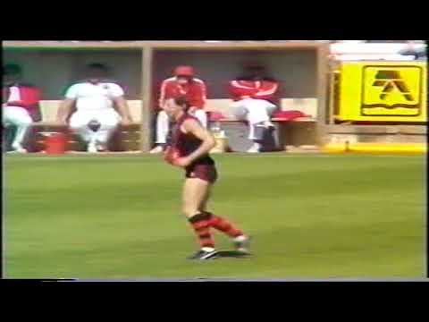 1985 Preliminary Final North 18.13 121 d West 16.14 110
