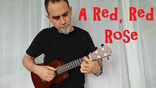 Folk Ukulele (#7): A Red, Red Rose (Robert Burns)