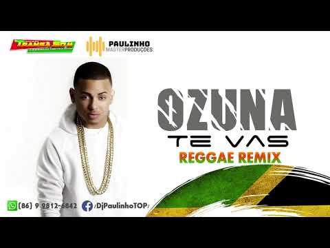 MELO DE PERDÃO VS REGGAE REMIX OZUNA TE VAS (PAULINHO MASTER PRODUÇÕES)