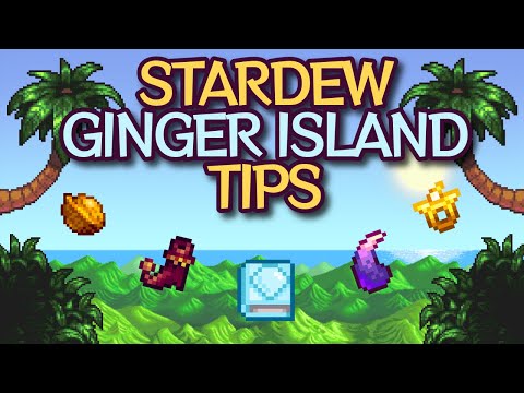 13 Ginger Island Tips for Stardew Valley 1.6!