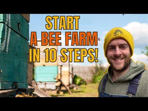 , title : 'Start A Bee Farm In 10 Steps!  Honey Farm Set Up Hints & Tips'