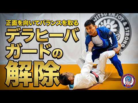 デラヒーバガードの解除