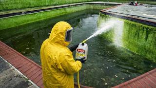 We Had to Use Acid… This Pool Was That Bad