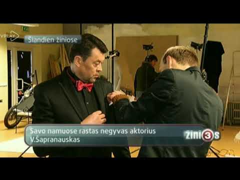 Vytautas Šapranauskas 2013