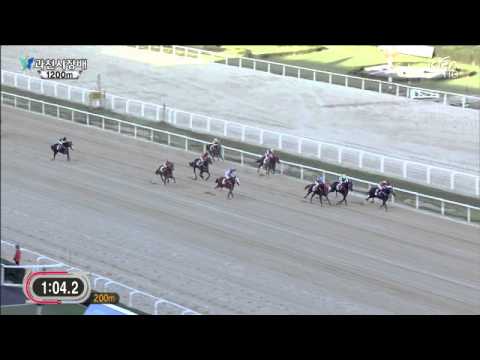 Gwacheon Mayor's Cup 2013 - Raon Morris