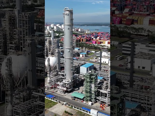 Who Controls UAE Oil After OPEC Exit? | Tayba Al Hashemi Explained