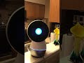 Alexa meets Jibo!
