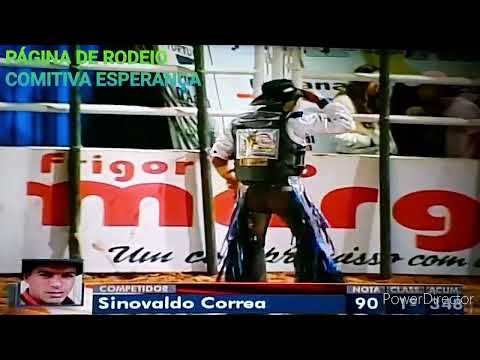 SINOVALDO CORREIA DE MELO (JABA IN MEMORIA  V& TOURO  LINHA DIRETA CIA GIRASSOL