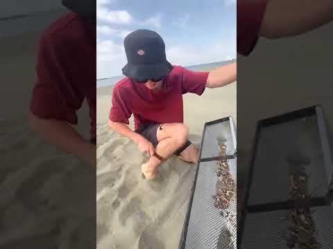 7 Days of Beach Treasure Hunting – Best Finds!