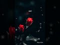 Thodi Raagam Paadava Song WhatsApp Status