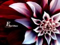 Blue Sands - (Great Piano Session) by Earl Hines