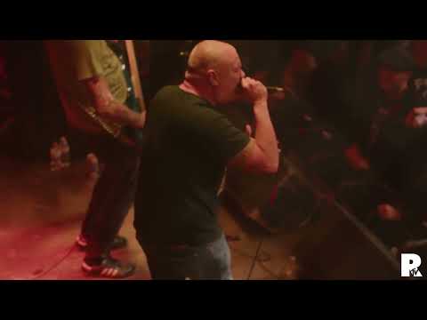 The Prowlers Live at Reggies 11.11.23