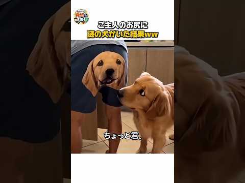 Gafe viral: cão misterioso aparece no bumbum do tutor