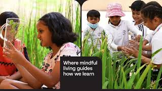 The School of Raya Video