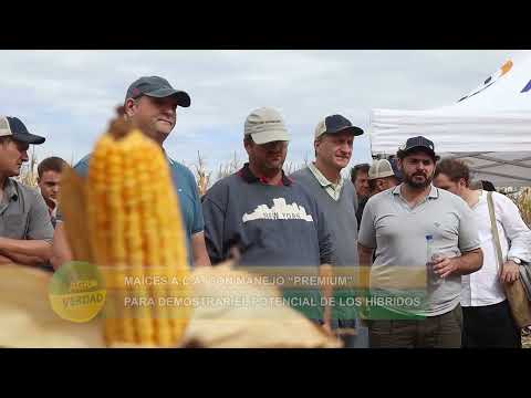 Jornada de la Asoc. de Coop. Argentinas en la zona de Luque, Córdoba, este jueves 9 de abril